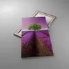 Bild auf Leinwand - Leinwandbild - Wiese lavenda Sommer Produktbild-Vorschau 2