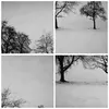 Bild auf Leinwand - Leinwandbild - 5 Teile - Winter Bäume Produktbild-Vorschau 8