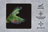 MuchoWow® Mauspad Mousepad Nahaufnahme bunter Papagei 20x20 Produktbild-Vorschau 2