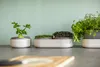 Plastia Urbalive Hydrokultur-Schale Regrow, Elfenbein Produktbild-Vorschau 14