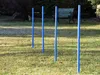 Dog Agility Trainings-Set 1 für Einsteiger Produktbild-Vorschau 3