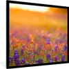 MuchoWow® Gerahmtes Poster Blumen - Gold - Sonne 40x40 cm - Produktbild-Vorschau 1