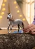 schleich HORSE CLUB Andalusier Hengst, 5 Jahr(e), Horses, Produktbild-Vorschau 7