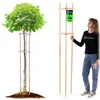 KADAX Baumstütze 195 cm aus robustem Holz, Baumpfahl zur Produktbild-Vorschau 1