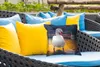 MuchoWow® Outdoor Kissen - Schwan - Vogel - Sonnenuntergang Produktbild-Vorschau 4