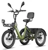 Elektrofahrrad FAFREES F20 Mate II - Motor 250W Akku Produktbild-Vorschau 1