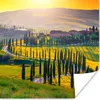 MuchoWow® Poster Gras - Sonne - Hügel - Landschaft 100x100 Produktbild-Vorschau 1