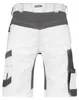 Dassy Stretch-Malershorts Axis 250090 PESCO41 Gr. 50 Produktbild-Vorschau 6