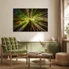MuchoWow® Poster Wald - Baum - Holz 120x80 cm - Bilder Produktbild-Vorschau 3