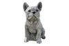 Statue de chien design - Bulldog Voir les images du produit 1