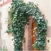 Plants by Frank | 6 Efeu Pflanzen | Hedera Helix 'Glacier' Produktbild-Vorschau 2
