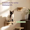 Knupis Kletterwand Katzen Set in Beige- 3er Katzentreppe Produktbild-Vorschau 2