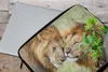 MuchoWow® Laptop Hülle 15 Zoll Löwen - Gras - Tiere Produktbild-Vorschau 4
