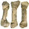 RF-DEER: 1 kg 17-20 cm (15-20 pezzi) pelle di merluzzo Anteprima dell’immagine prodotto 4