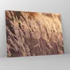 Bilder auf glas - Einteilig - Boho Ähren Feld - 70x50cm - Produktbild-Vorschau 4