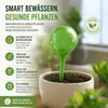 8 Bewässerungskugeln Set Topfpflanzen Gießkugeln Produktbild-Vorschau 5