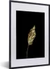 MuchoWow® MuchoWow® Gerahmtes Poster Schwarz und Gold - Produktbild-Vorschau 1