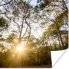 MuchoWow® Poster Die Sonne geht zwischen den Bäumen im Wald Produktbild-Vorschau 1