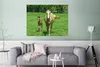 MuchoWow® Poster Pferd - Fohlen - Tiere 120x90 cm - Produktbild-Vorschau 5