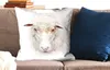 MuchoWow® Zierkissen Sofakissen Wohnzimmer Dekokissen 60x60 Produktbild-Vorschau 2