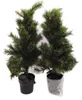 Black Box Trees Glendon Set de 2 sapins de Noël et 1 Voir les images du produit 11