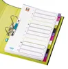 ELBA 400005446 Kunststoff-Register myColour DIN A4 Voir les images du produit 3