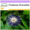 SAFLAX - Granadilla - 40 Nasiona - Passiflora edulis Podgląd zdjęcia produktu 9