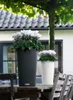 Jardiniere - Cilindro color 32 - Complete kit - White - 13 Anteprima dell’immagine prodotto 17