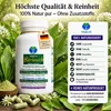 Wilder Frischblatt Bärlauch 720 (4x180) Kapseln nach Produktbild-Vorschau 5