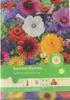 Sommerblumen Halbhohe Mischung | Blumensamenmischung von Produktbild-Vorschau 4