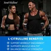 L-Citrulline 3000mg (120 Kapseln) Sportnahrungsergänzung, Produktbild-Vorschau 6