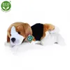 RAPPA Plüsch Beagle Hund liegend 30 cm ECO-FRIENDLY Produktbild-Vorschau 12