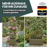 XL Gartenspalier 'Ethica' mit Pflanzkübel Breit 80x36x140 Produktbild-Vorschau 8