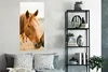 MuchoWow® Poster Pferd - Strand - Tiere 60x120 cm - Produktbild-Vorschau 4