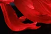 Design Deko Figur Kampffisch CROWNTAIL 35cm rot Betta Fisch Produktbild-Vorschau 8