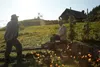 Die einfachen Dinge Produktbild-Vorschau 4
