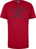 Übergrößen T-Shirt St. Louis dunkelgrau AHORN SPORTSWEAR Produktbild-Vorschau 1