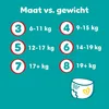 Pampers Baby Dry Pants - Größe 6 - Mega Pack - 160 Stück - Produktbild-Vorschau 5