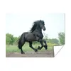 MuchoWow® Poster Pferd - Schwarz - Natur 120x90 cm - Produktbild-Vorschau 2