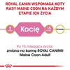 Royal Canin Maine Coon Kitten, Kocięta, Maine Coon, Drób, Podgląd zdjęcia produktu 7