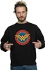 DC Comics - Sweatshirt für Herren BI50966 (S) (Schwarz) Produktbild-Vorschau 3