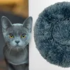 TEKONA Hundebett Katzenbett 50 bis 120 cm Donut Tierbett Produktbild-Vorschau 5
