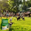 ECODECO Trávne semeno pre šport a hry – rýchlo klíčivé Náhľad obrázku produktu 6