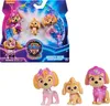 PAW Patrol PAW RLP Skye Figure Pack INTL PPTMM GML, 3 rok / Náhľad obrázku produktu 6