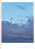 Quint Buchholz: Augenblicke Kalender 2027 Produktbild-Vorschau 7