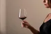 ZWIESEL GLAS BOUQUET (FINE) BURGUNDERPOKAL 2 Stück 123738 Produktbild-Vorschau 7