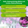 Purgrün Rhododendrondünger 1 Liter, Produktbild-Vorschau 3