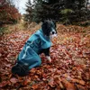 Non-stop dogwear FJORD RAINCOAT 2.0 teal |296| Regenschutz, Produktbild-Vorschau 3