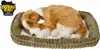 Perfect Petzzz 96156 atmender Welpe - Collie Produktbild-Vorschau 4