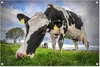 MuchoWow® Produktbild-Vorschau 1